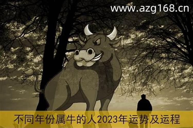 81年属鸡人在2025年的全年运势