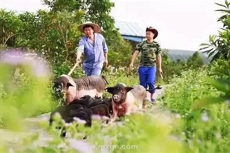梦见河水很急很清澈里面很多鱼的预兆
