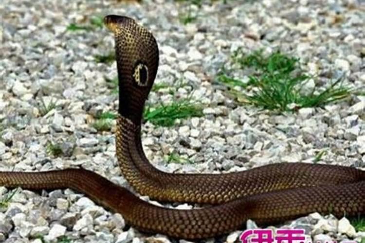 生辰八字怎样看你的事业运势
