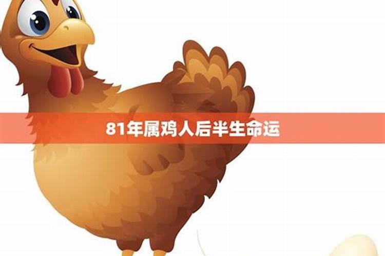1981属鸡的婚姻和命运,81年属鸡的属相婚配表