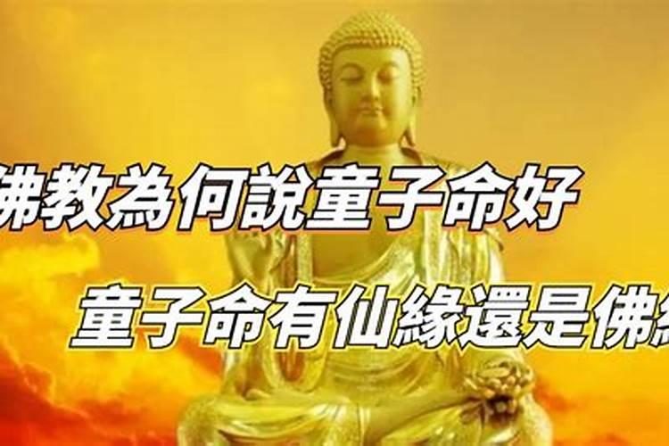 八字分别指的是哪8个字？