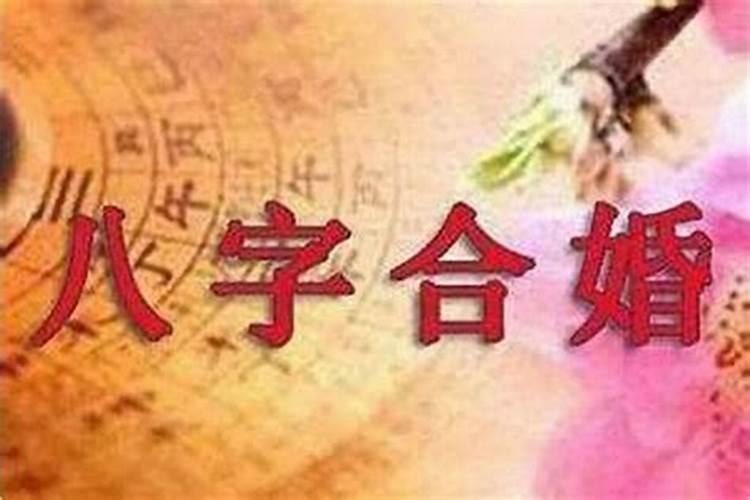 属鸡和什么属相相克