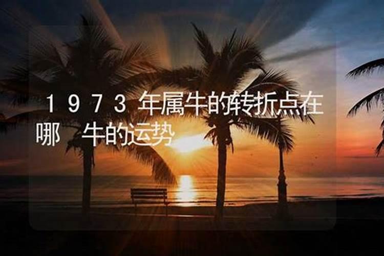 我是农历1981年5月初10寅时出生的人 算算2009年全年的运程？