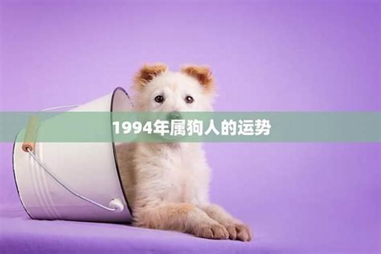 1994年属狗男2025年的运势和婚姻