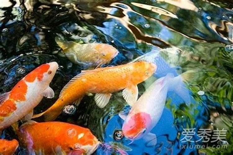 2月份去武汉玩冷吗