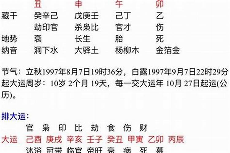 专旺格、从旺格、从强格的区别
