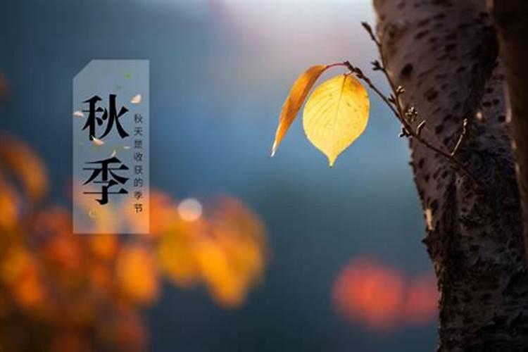 晚年会守寡的5大生肖女,七七年属蛇的女人到中年后会守寡吗？