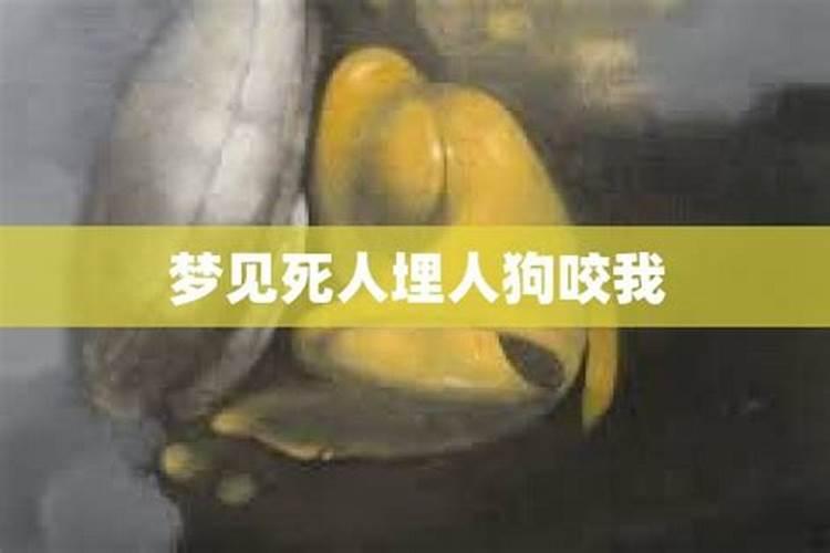 冬至吃什么传统食物南方
