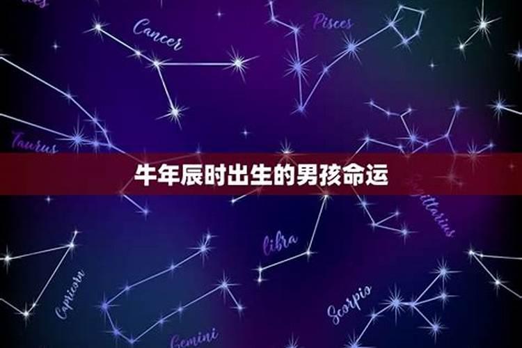 65出生的蛇今年每月运气
