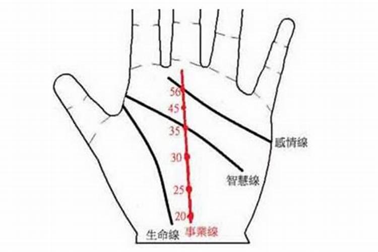 生命线是哪一个 生命线是哪一条男女有分别吗