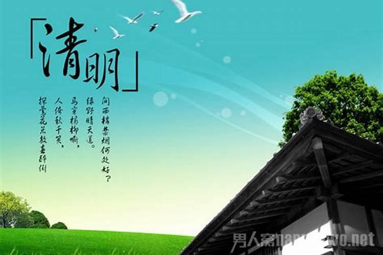 清明节的来历和风俗是什么？