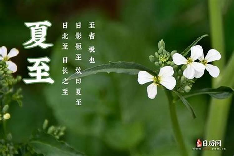 夏至是哪一天 夏至是什么意思