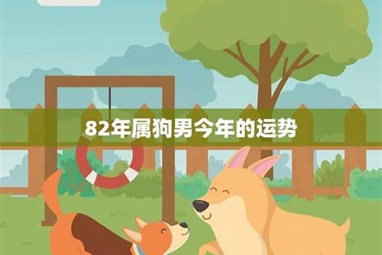 什么是日干？？
