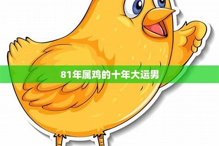 1981属鸡十年大运属鸡人运势好不好