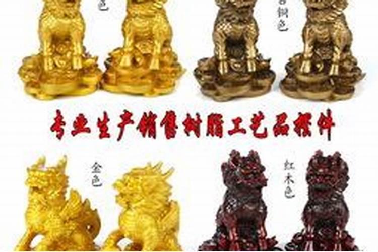 仙人掌放哪里防小人,不带仙人掌刺放办公室是最佳选择