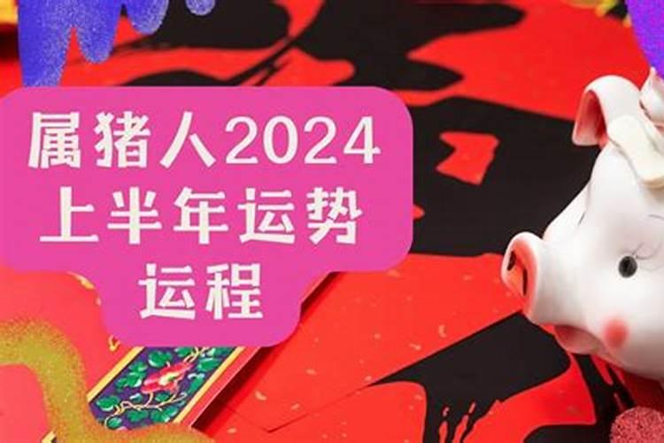 2025年属猪的全年运势