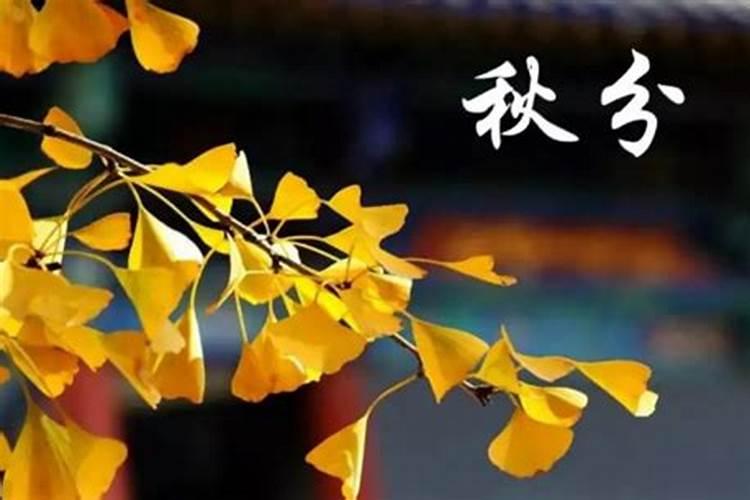 农历秋分是几月几号 传统的“祭月日”