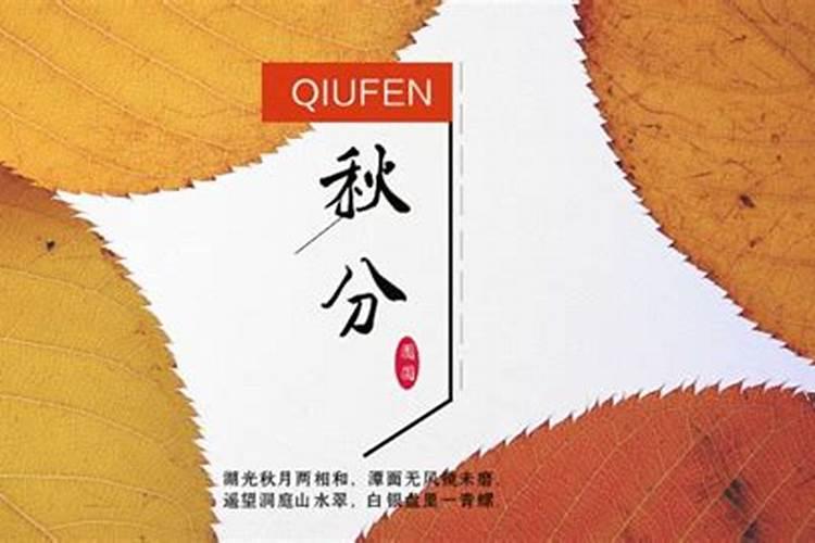 秋分的节气习俗是什么？