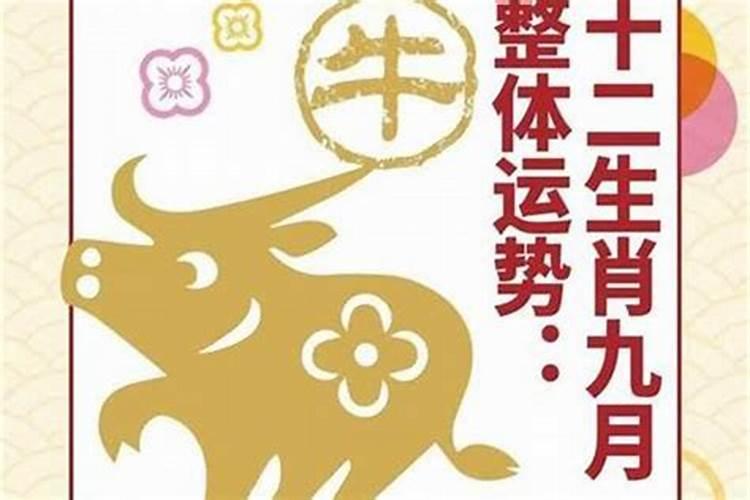 80年属猴女在2025年每月运势
