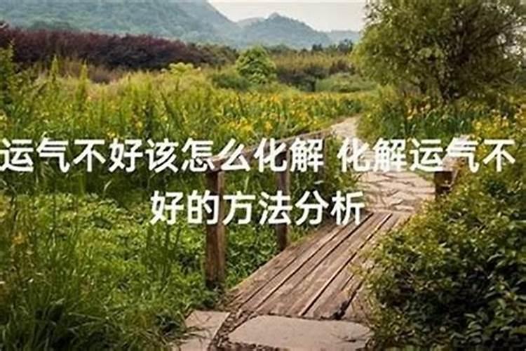生肖属虎的孩子起名宜用字 2022年深受好评孩子名