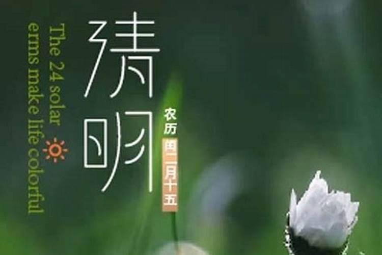 正月初二是什么日子