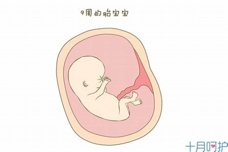 为什么很多外国人认为中国人吃婴儿,真有这种事吗？  知乎