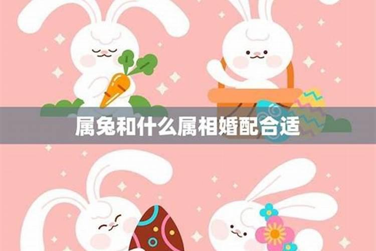 太岁口服液跟单纯的吃太岁有什么区别