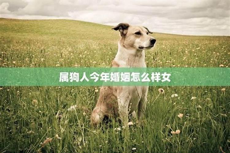 梦见前男友偶然相遇有什么预兆