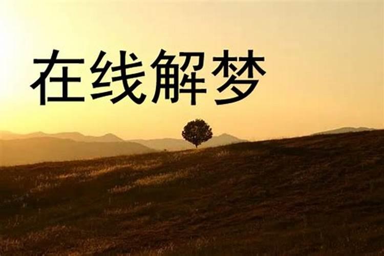 梦见和老公在外面烤火