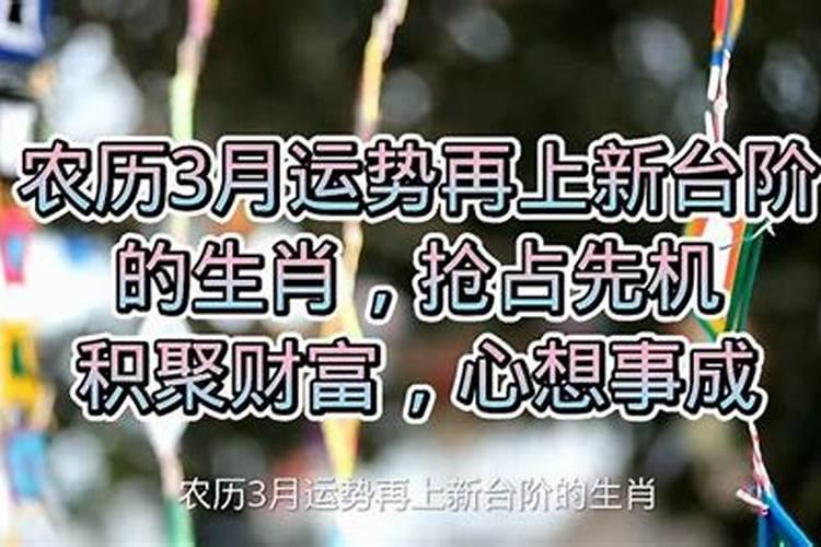 属鼠人三月命运一定不好吗,属鼠的人出生在农历三月的好不好