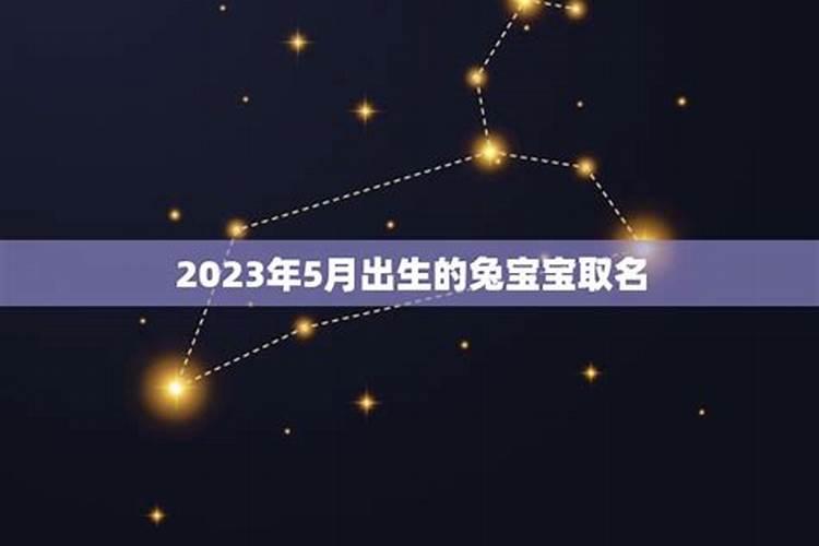 2025年农历四月五月出生蛇宝宝怎么样