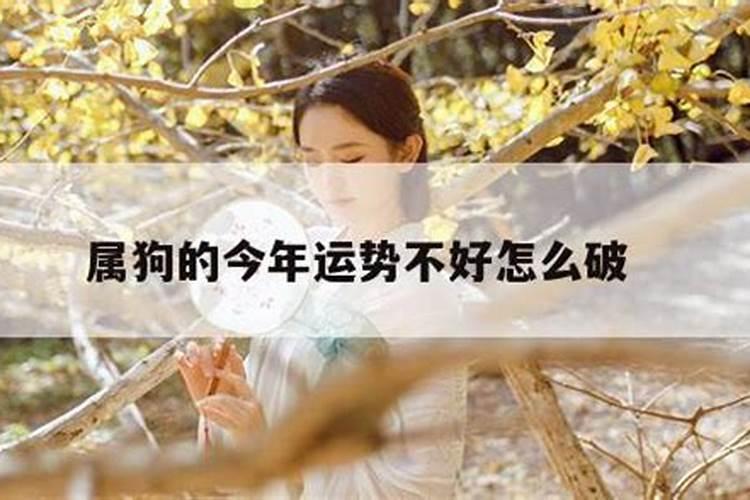 风水怎样助你春节行好运？