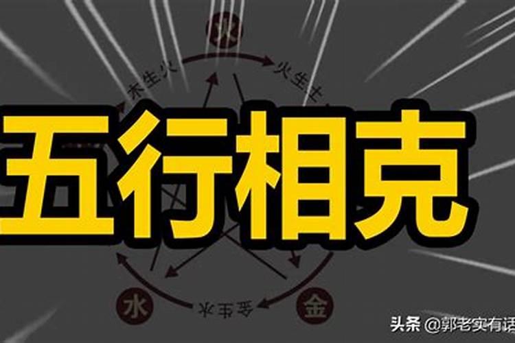 生肖猪2025年运势 属猪2025年运势及运程