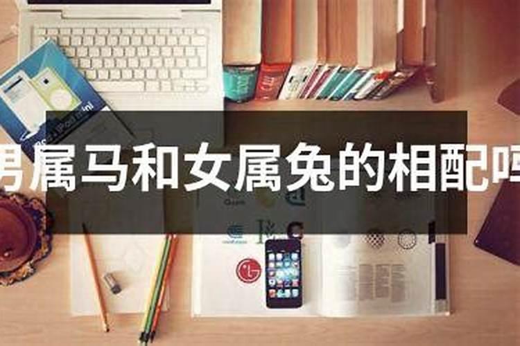 重阳节是什么星座