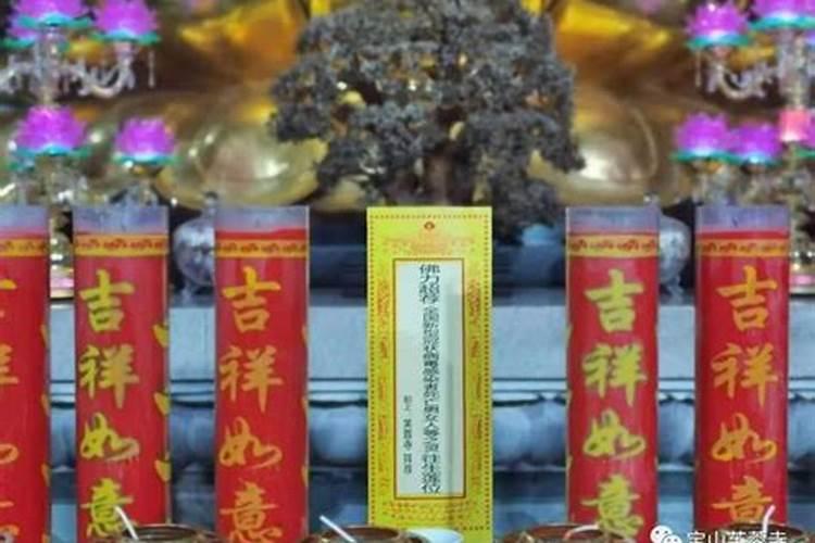 中国神仙故事75:顺天圣母