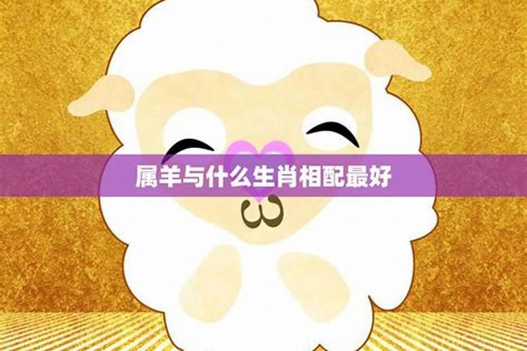 女属羊的和男属羊的婚配不好吗,女属羊1991的和男属羊1979的配婚