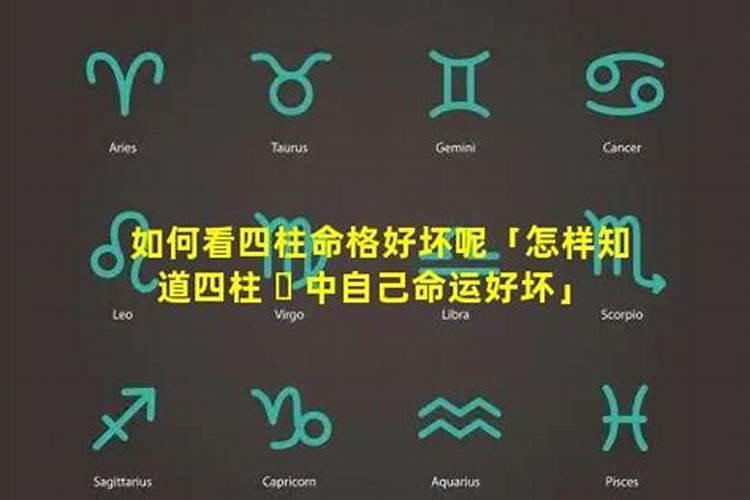 怎么看懂自己的四柱