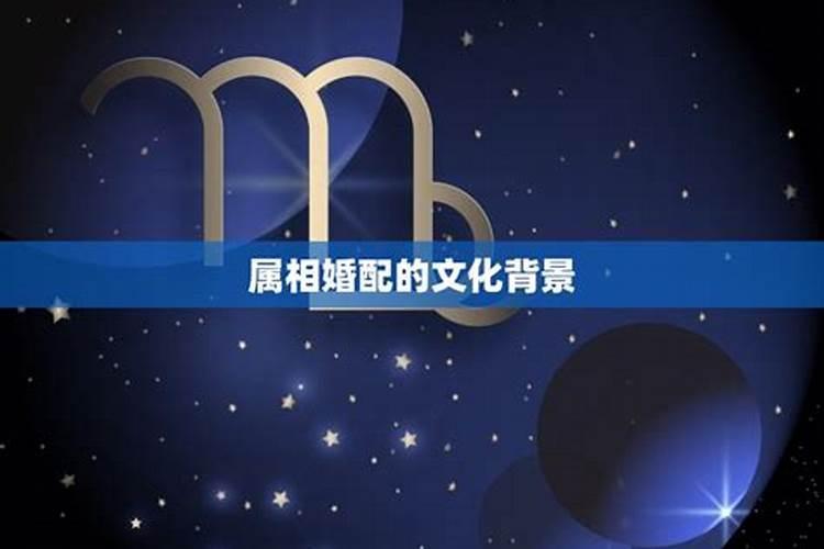 十二生肖不宜婚配,属相婚配可以相信吗