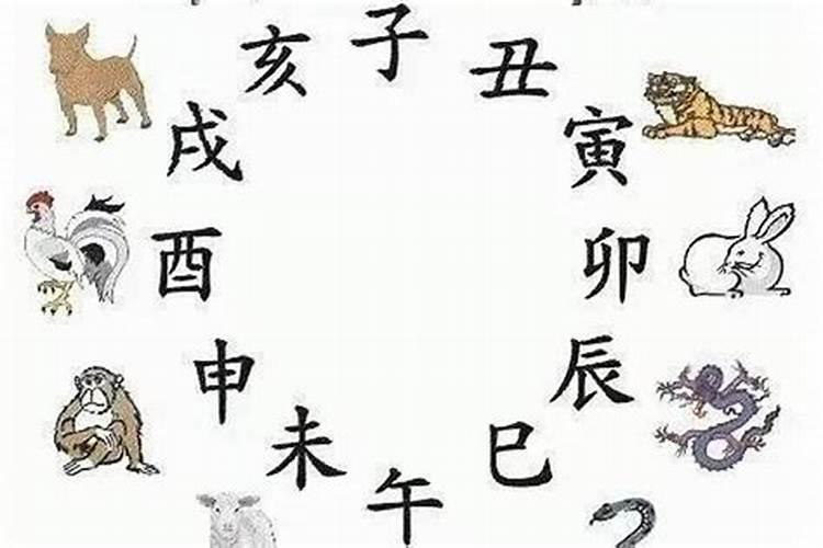 属鸡男和属兔女的适合做夫妻吗