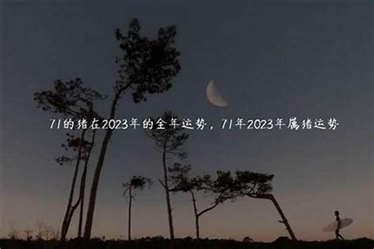 娱乐圈感情受伤后,状态不是很好的女星都有谁？