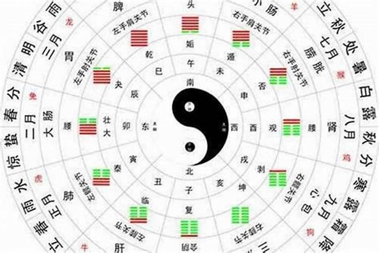 怎样查自己的天干地支