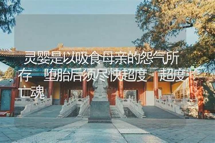 解惑:广东人立冬吃什么