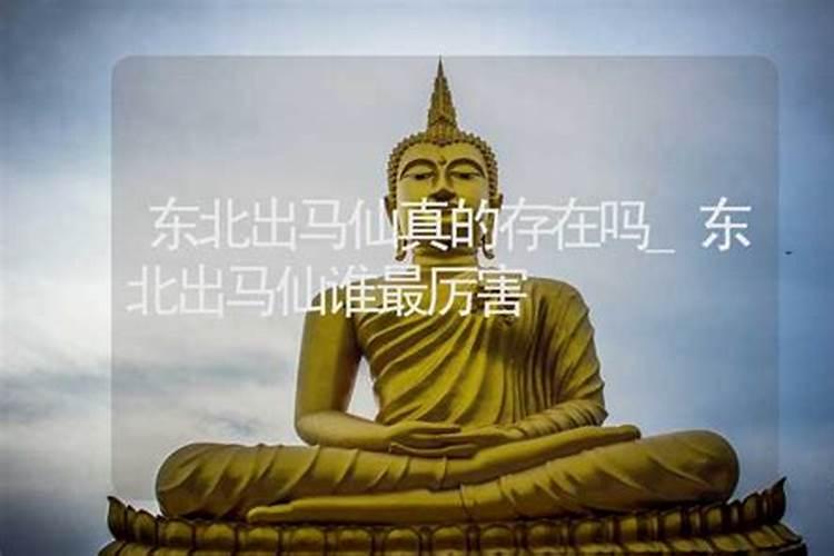 2025属羊犯太岁吗？属羊人的2025年运势如何？