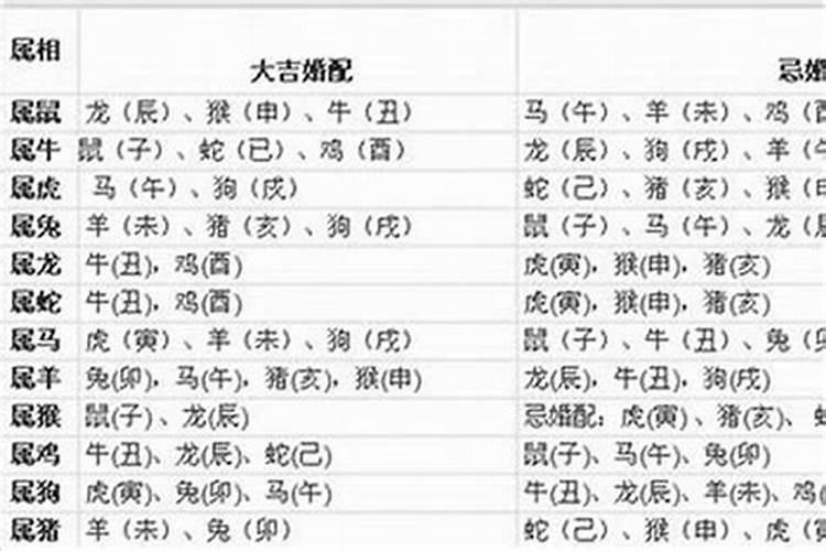梦见出行走着没路了的预兆
