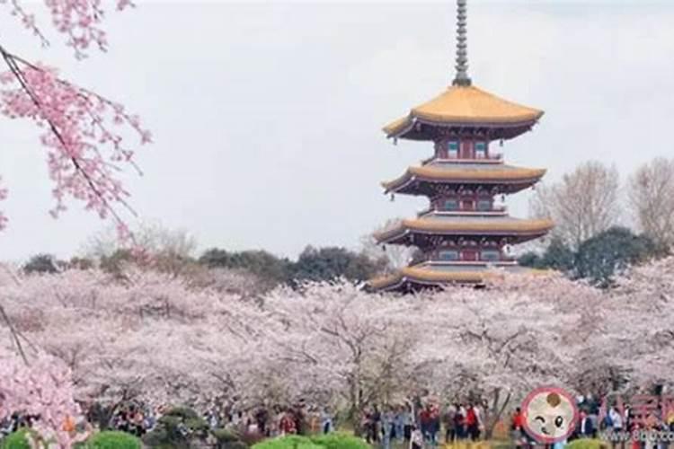 清明节去哪里旅行