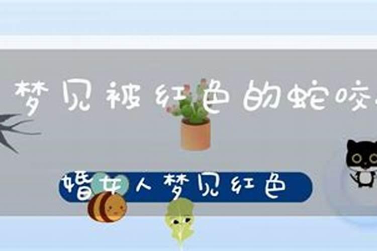 2025年七夕节是几月几号