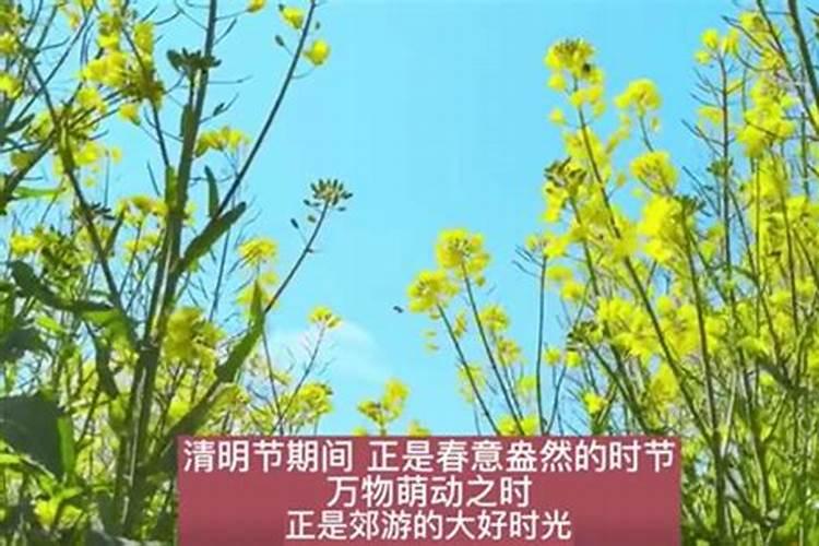 9月初9是什么节日有什么风俗