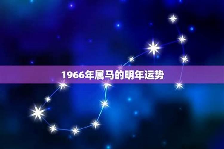 66年属马人2025年全年运势