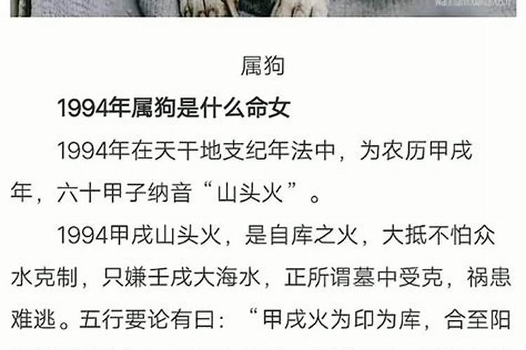 生肖狗94年十一月十五日运势？