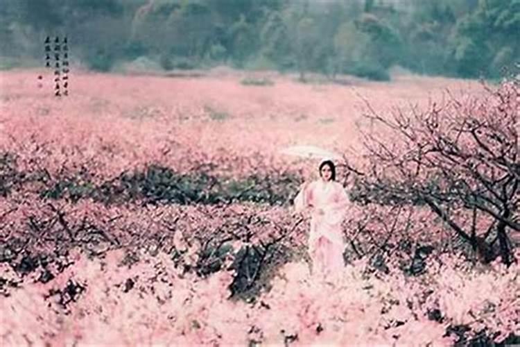 为什么桃花运最旺